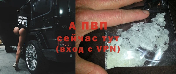 соль ск Гусев
