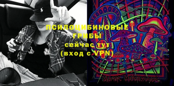 mdpv Гусиноозёрск