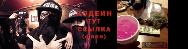 соль ск Гусев