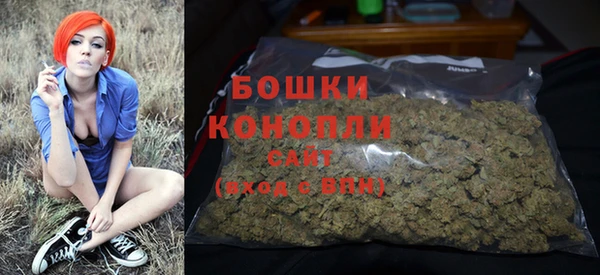 соль ск Гусев