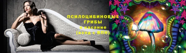 соль ск Гусев