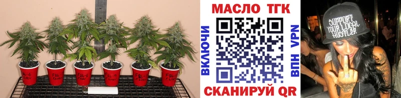мега ССЫЛКА  где можно купить наркотик  Темрюк  ТГК Wax 