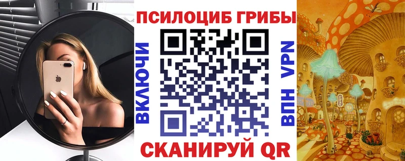 Псилоцибиновые грибы GOLDEN TEACHER  Темрюк 