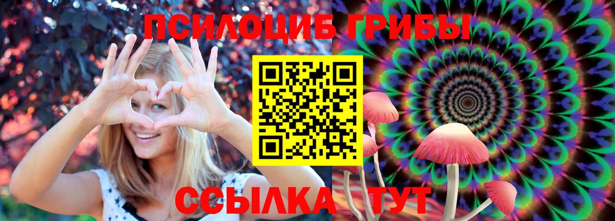 Темрюк  Галлюциногенные грибы мицелий  Вход с VPN 
